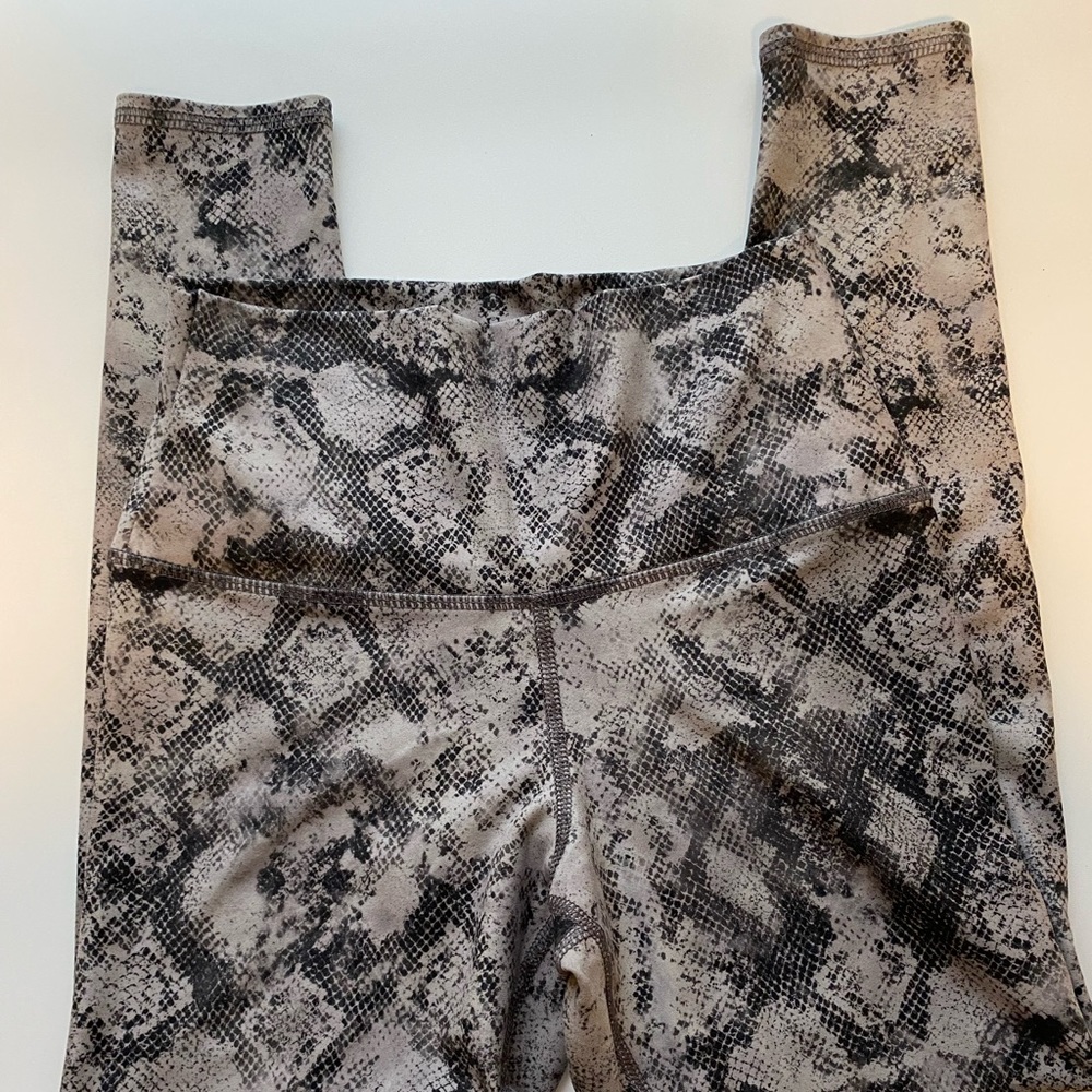 Evolution and Creation Legging